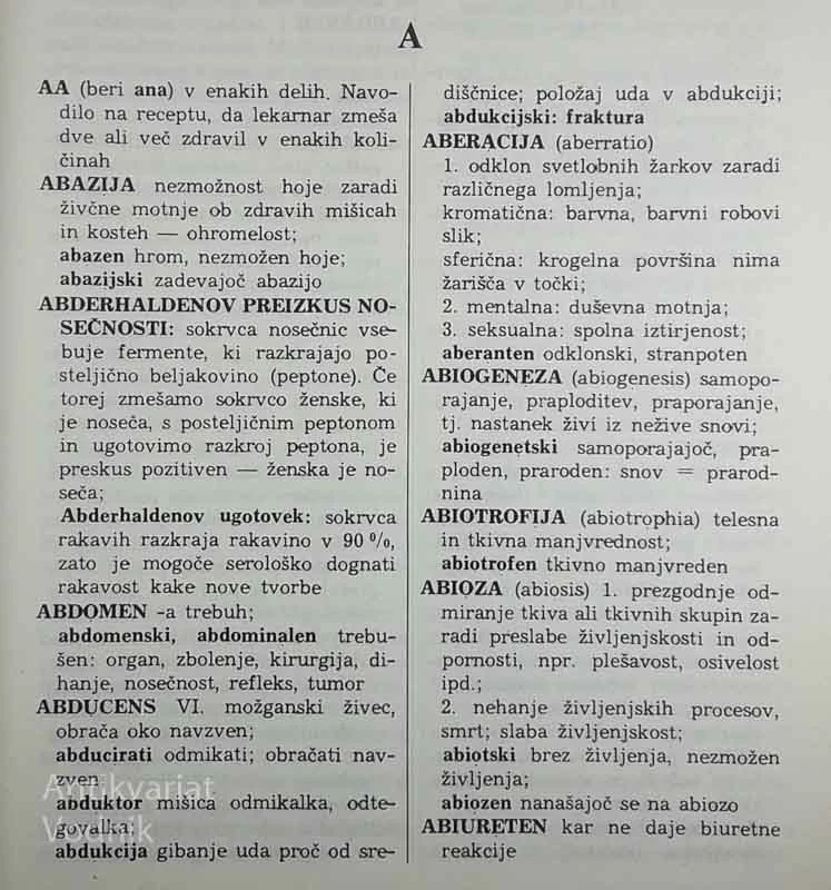 VELIKI ANGLEŠKO-SLOVENSKI SLOVAR, Grad, Škerlj in Vitorovič