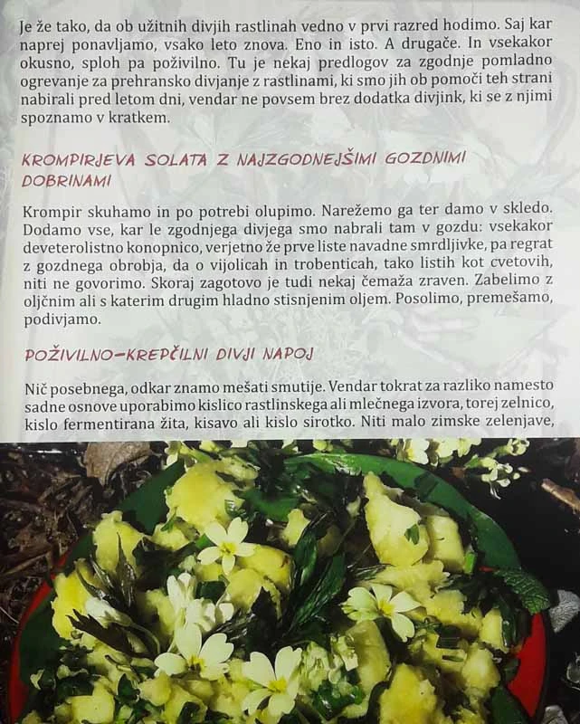 NEKAJ DIVJEGA V DRUGO, Dario Cortese