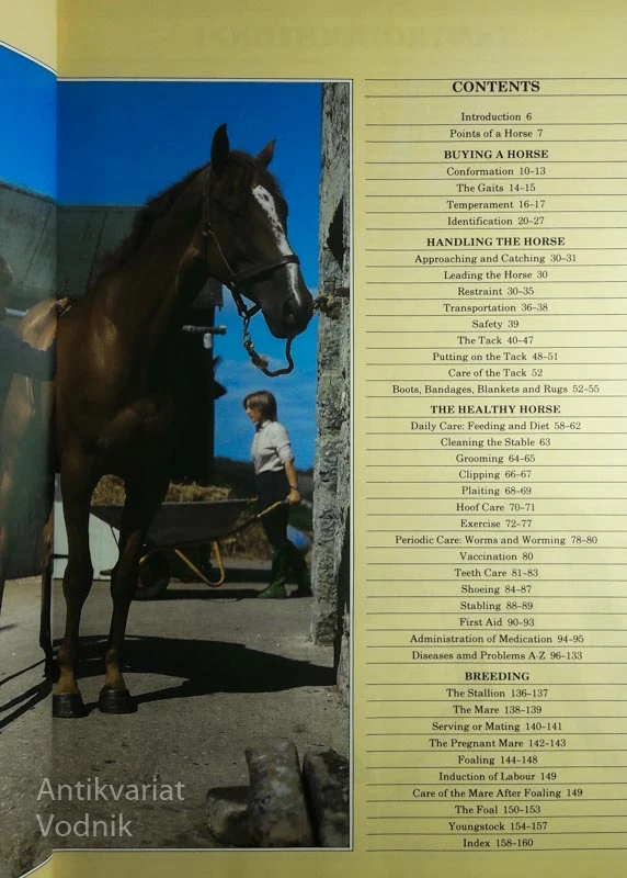 HORSE & PONY CARE