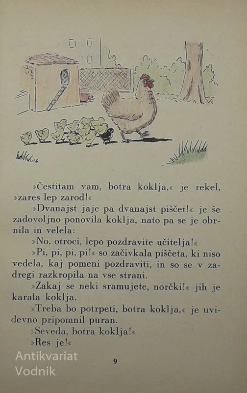 POPOTOVANJE PIŠČETA PIKCA, Cesare Dei