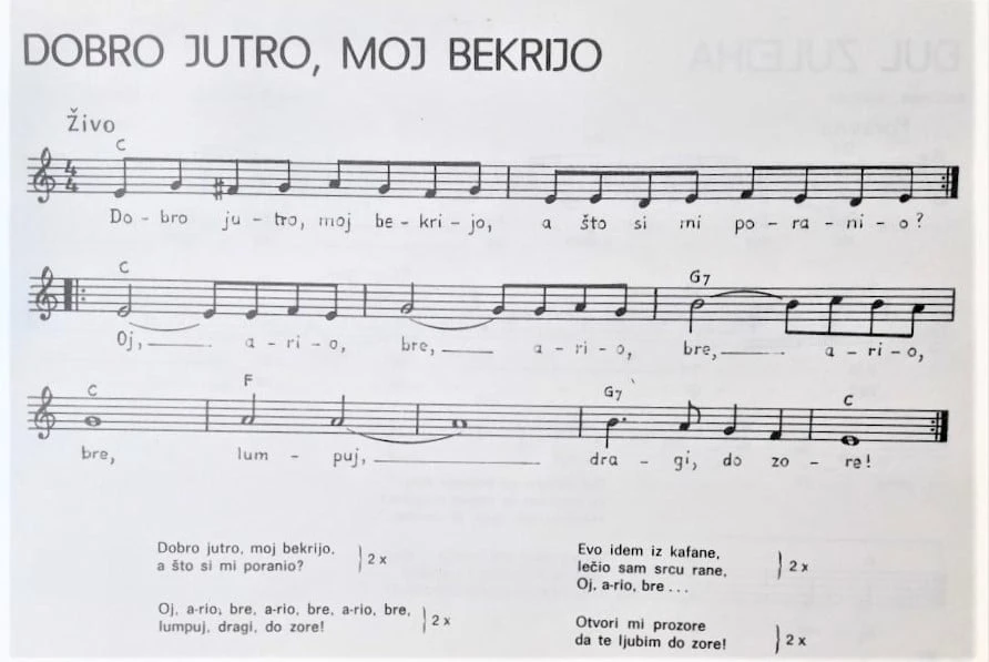 50 NAJPOPULARNEJŠIH STAROGRADSKIH I NARODNIH PJESAMA, (Album VII)