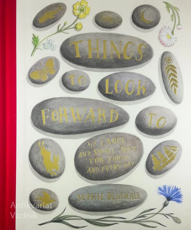 THINGS TO LOOK FORWARD TO, Sophie Blackall