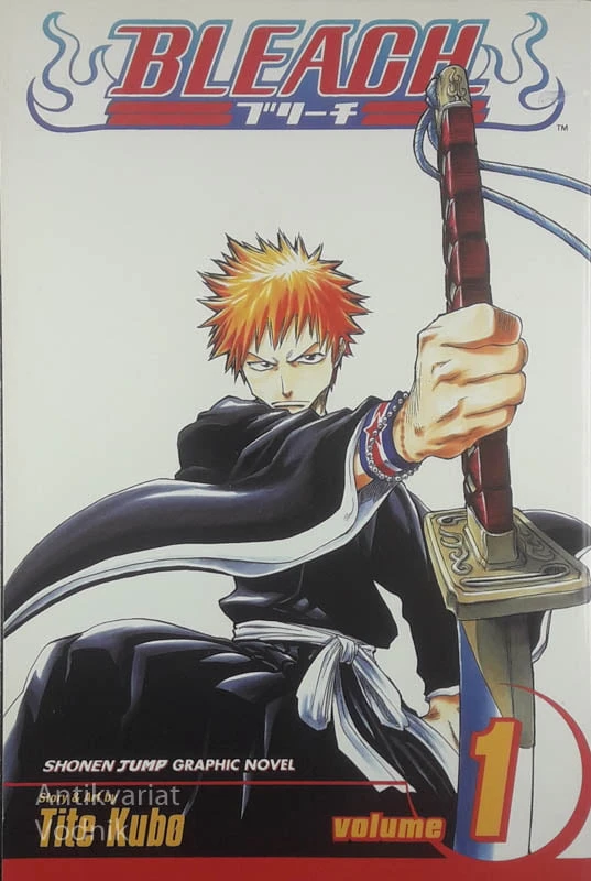 BLEACH, Tite Kubo (1 – 21)
