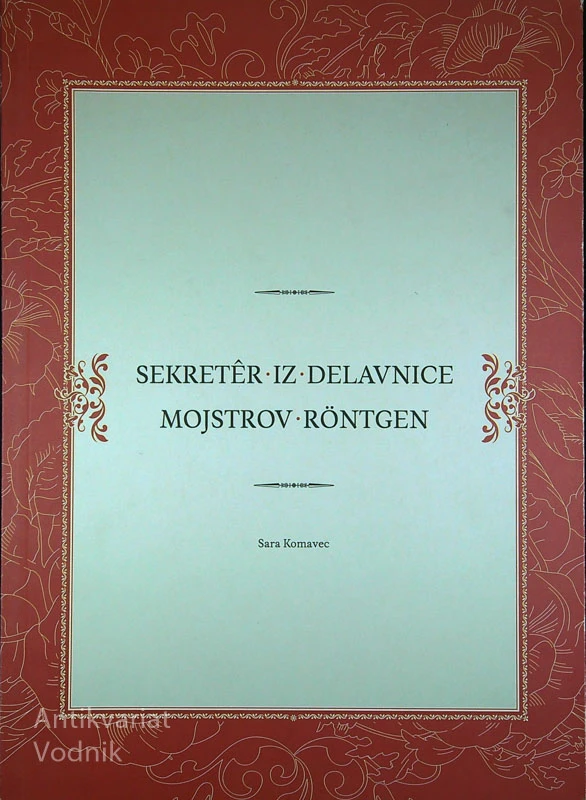 SEKRETÊR IZ DELAVNICE MOJSTROV RÖNTGEN, Sara Komavec
