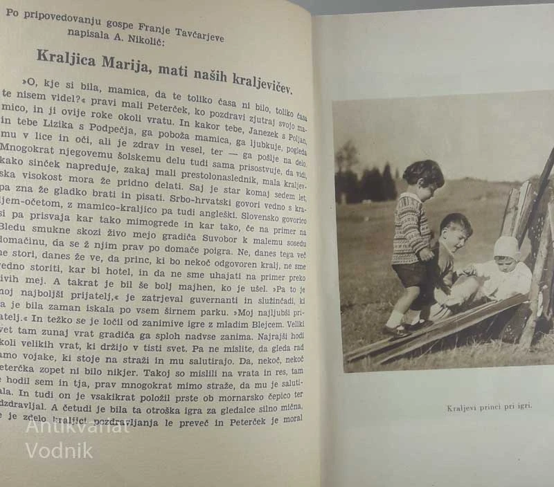 ŽENSKI ALMANAH, več avtorjev