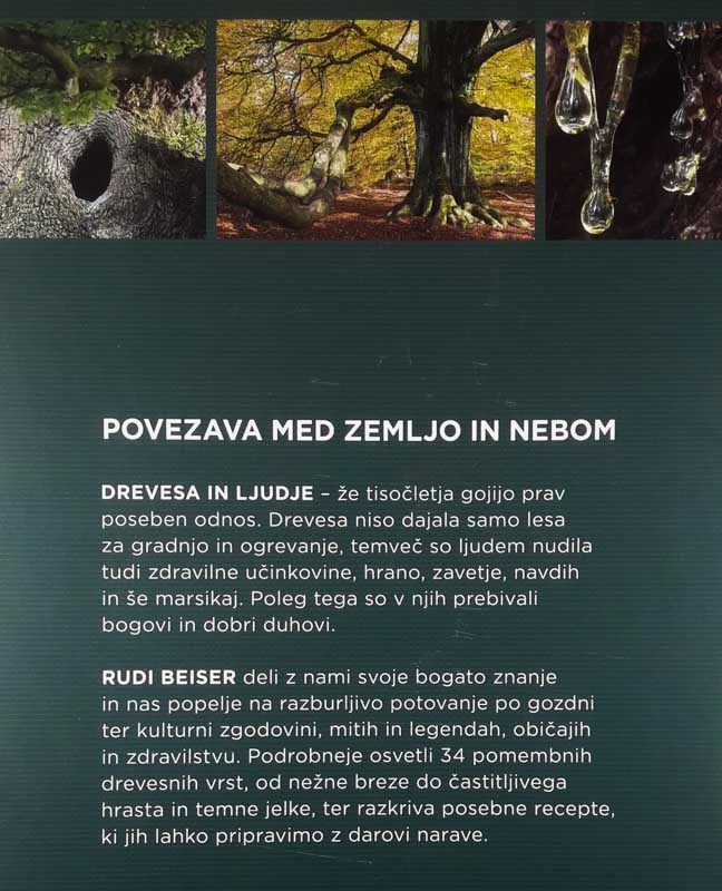 DREVESA IN LJUDJE, Rudi Beiser