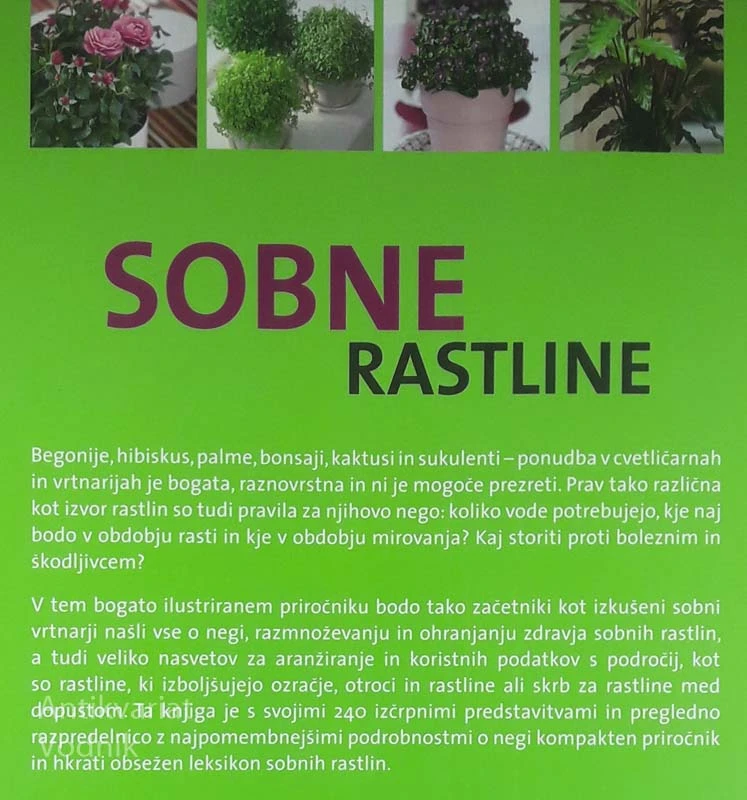 SOBNE RASTLINE