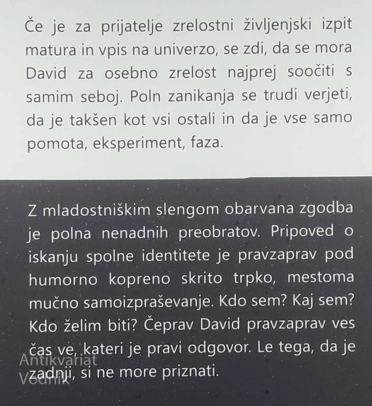 ZADNJI ODGOVOR, Petja Rijavec
