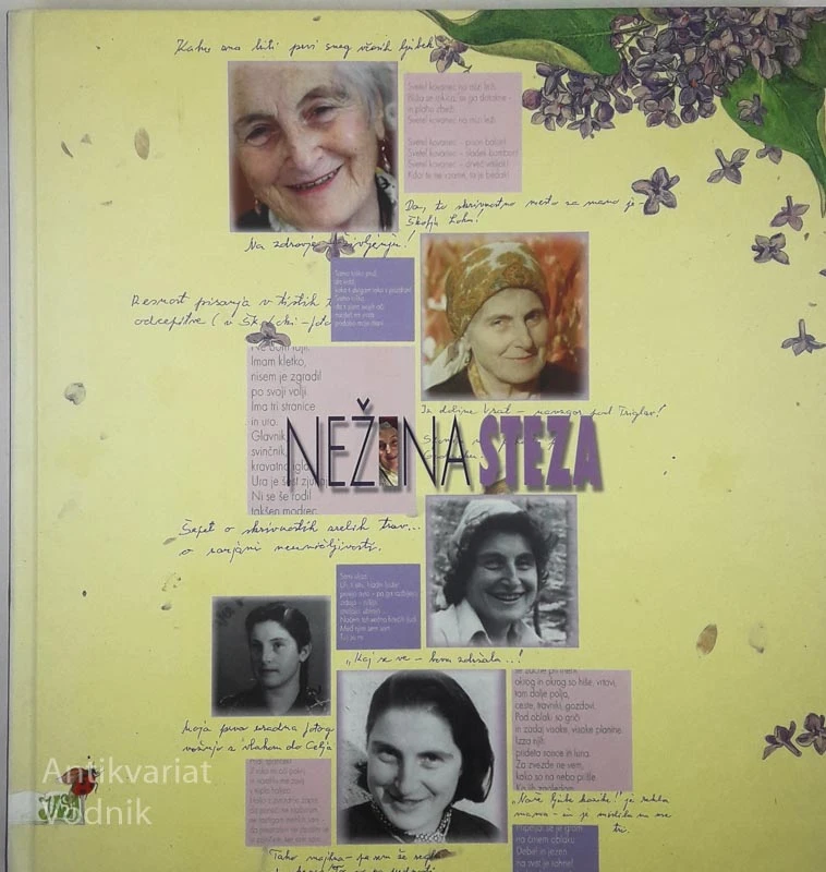 NEŽNA STEZA, več avtorjev
