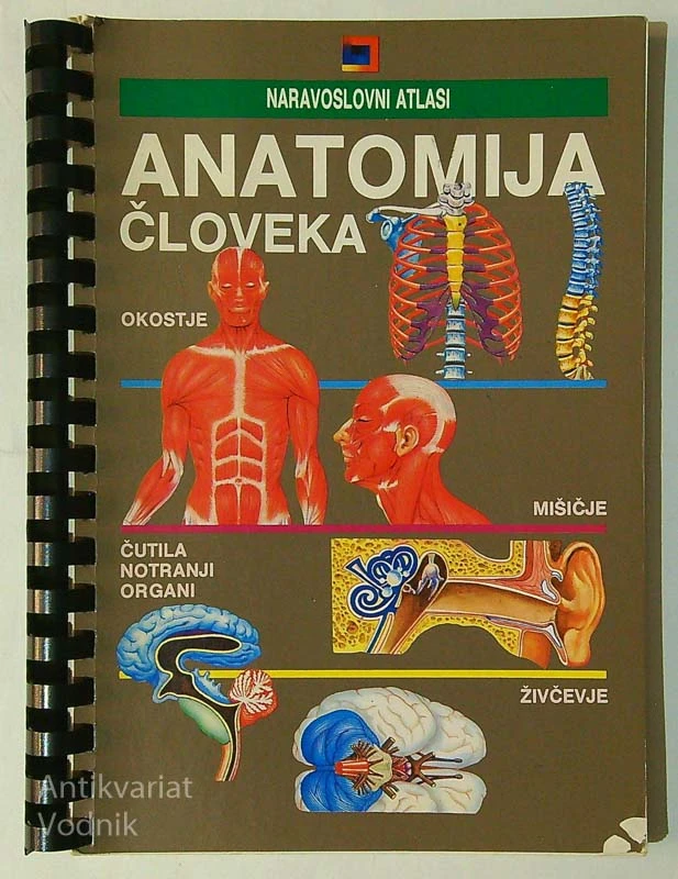 ANATOMIJA ČLOVEKA