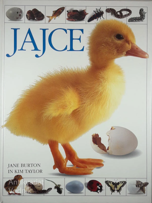 JAJCE, Jane Burton
