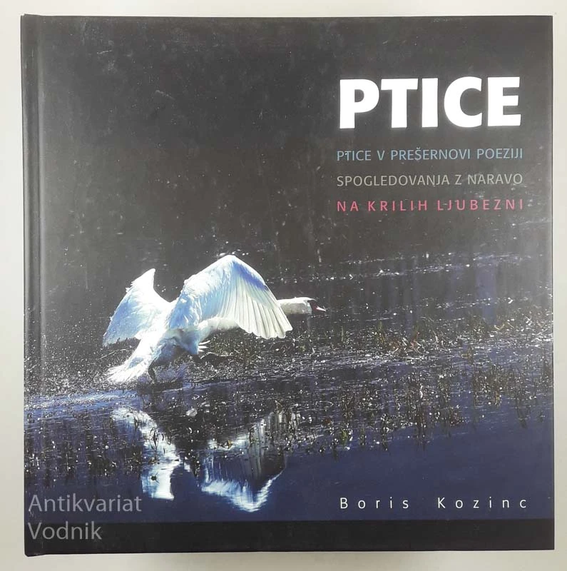 PTICE, Boris Kozinac