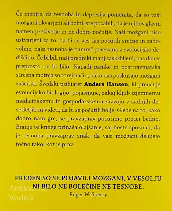 KO MOŽGANI BLUZIJO; ODVEZA VSEM, KI STE DEPRESIVNI IN TESNOBNI, Anders Hansen