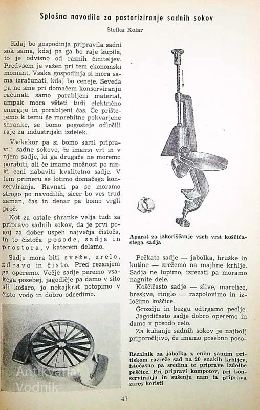 SADJE IN ZELENJAVA VSE LETO
