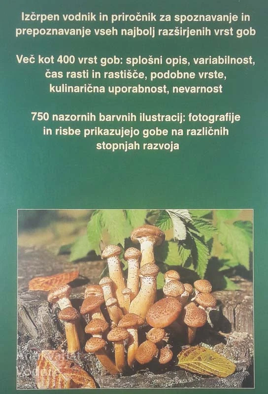 GOBE; SPOZNAVANJE, PREPOZNAVANJE IN NABIRANJE NAJBOLJ RAZŠIRJENIH VRST GOB, Ettore Bielli