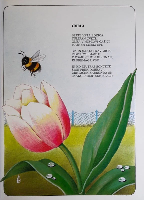 KADAR KUKAVICA POJE, Barbara Menart Senica