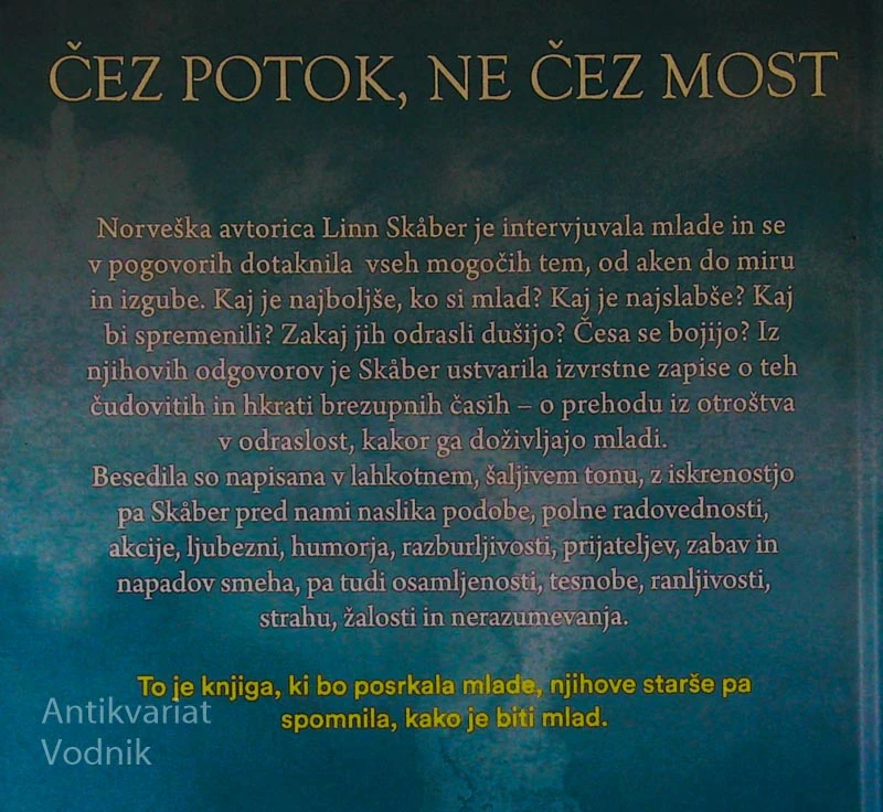 ČEZ POTOK, NE ČEZ MOST, Linn Skåber, ilustrirala Lisa Aisato