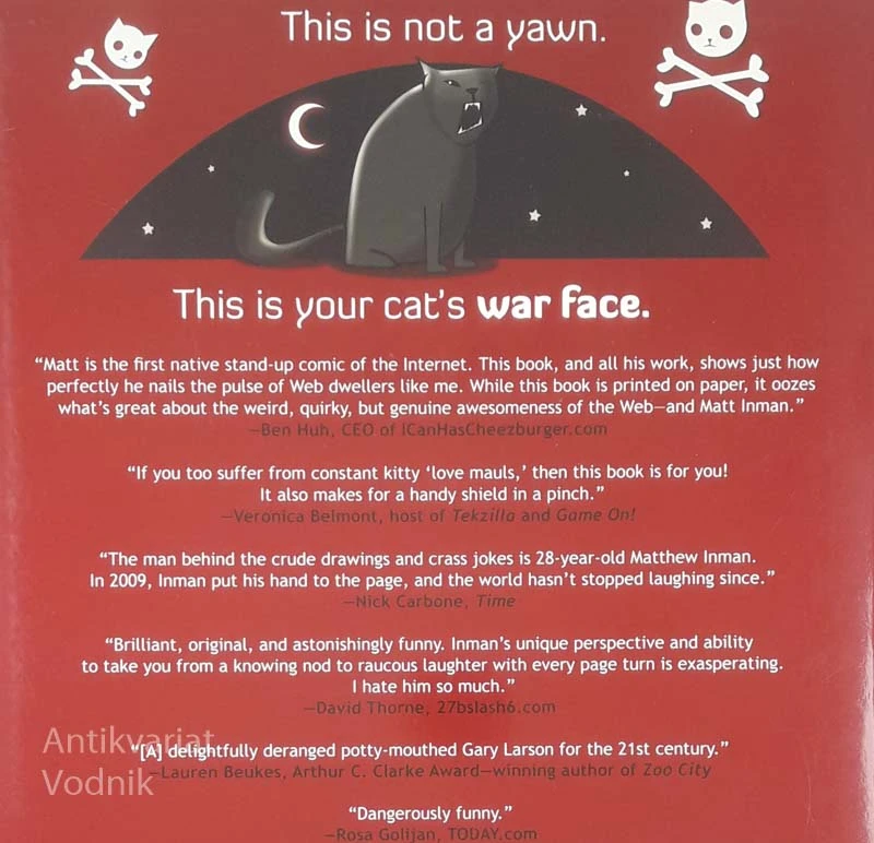 HOW TO TELL IF YOUR CAT IS PLOTTING TO KILL YOU