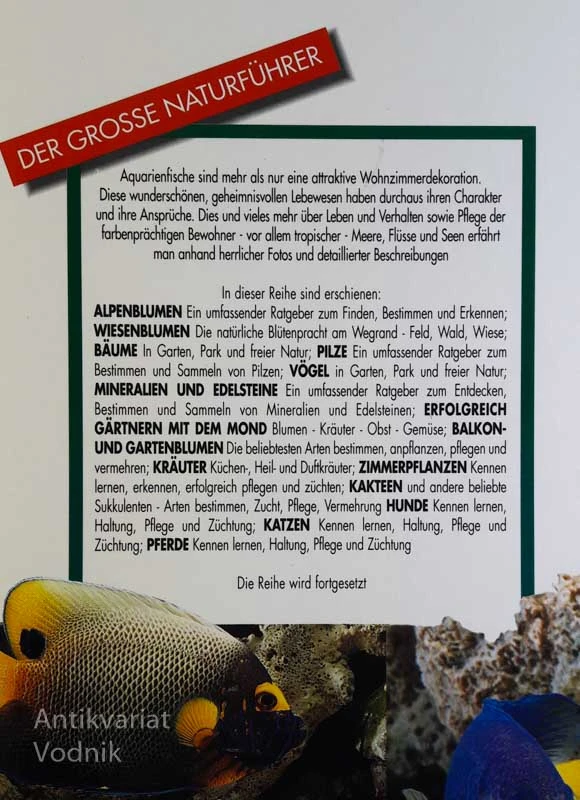FISCHE IM AQUARIUM, Mauro Mariani