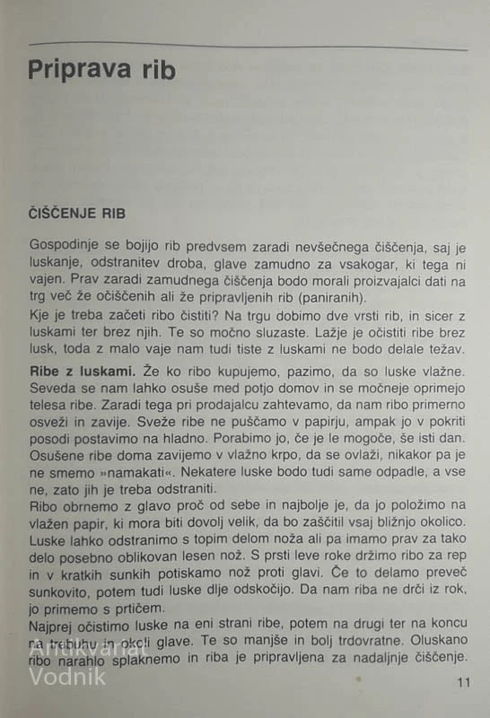 RIBJE JEDI, Bogomir Strohsack