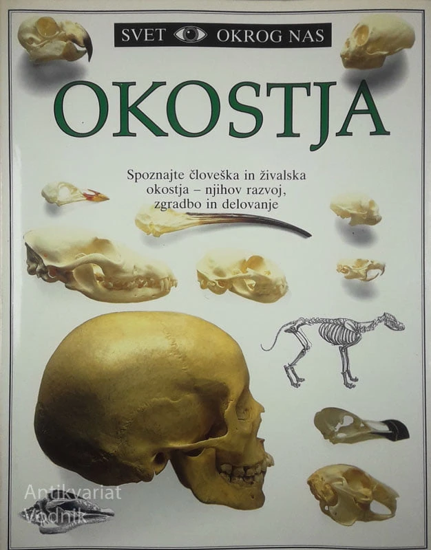 OKOSTJA, Steve Parker