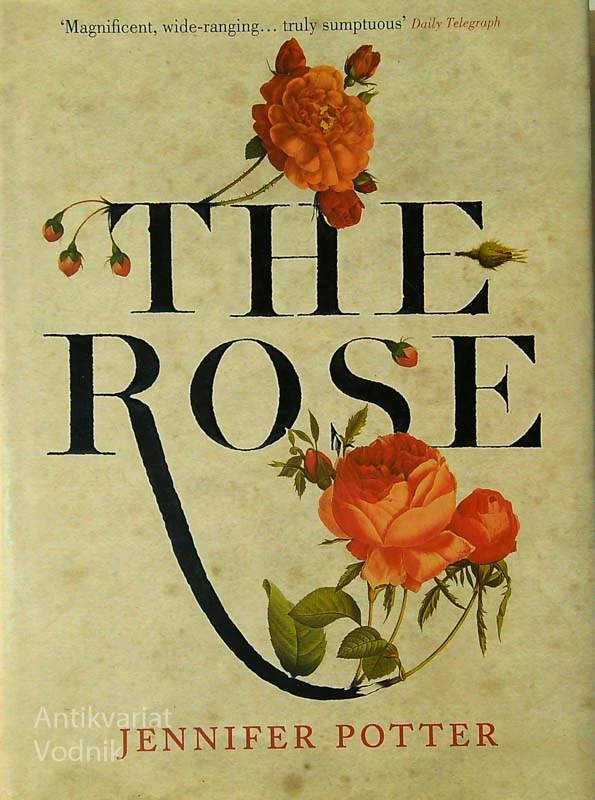 THE ROSE, Jennifer Potter