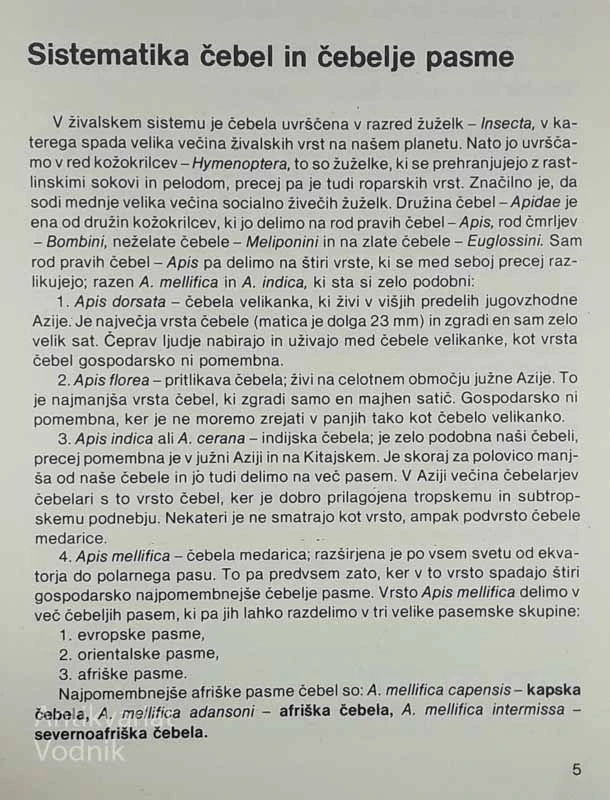 ČEBELARSTVO, več avtorjev