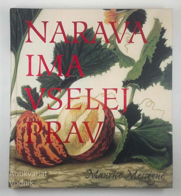 NARAVA IMA VSELEJ PRAV, Maurice Messegne