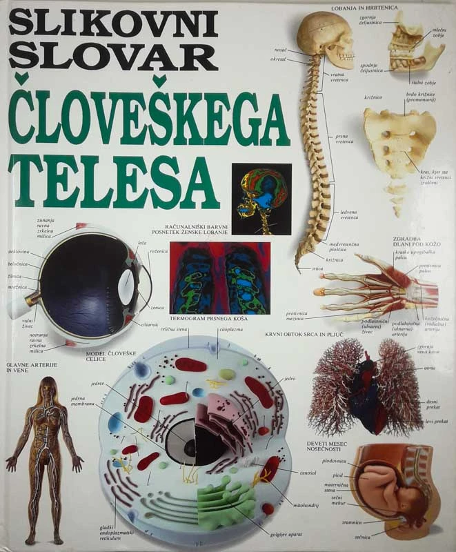 SLIKOVNI SLOVAR ČLOVEŠKEGA TELESA, več avtorjev