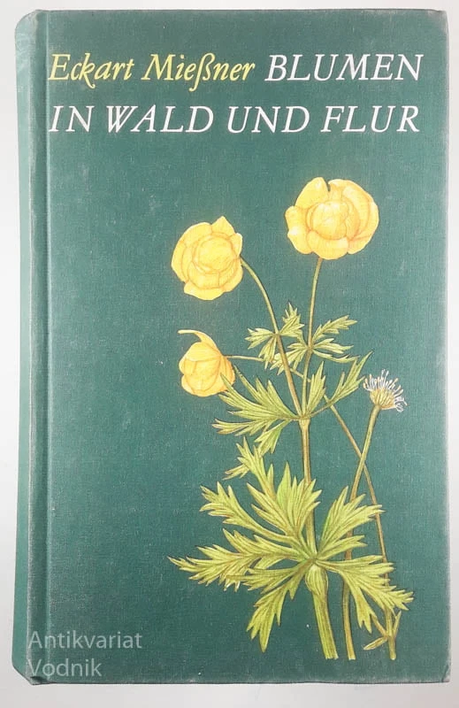 BLUMEN IN WALD UND FLUR, Eckart Mießner