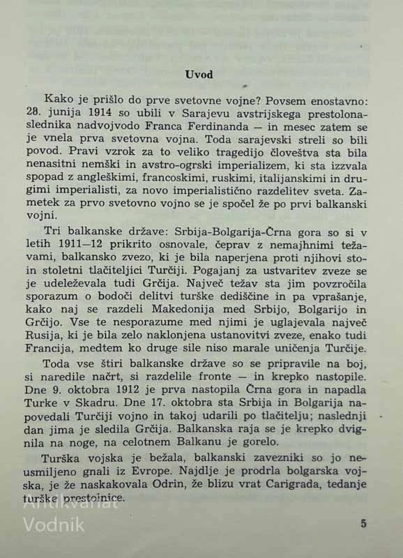 SKOZI PLAMENE PRVE SVETOVNE VOJNE, Ivan Matičič