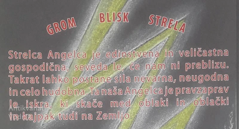 STRELCA ANGELCA, Nataša Vertelj