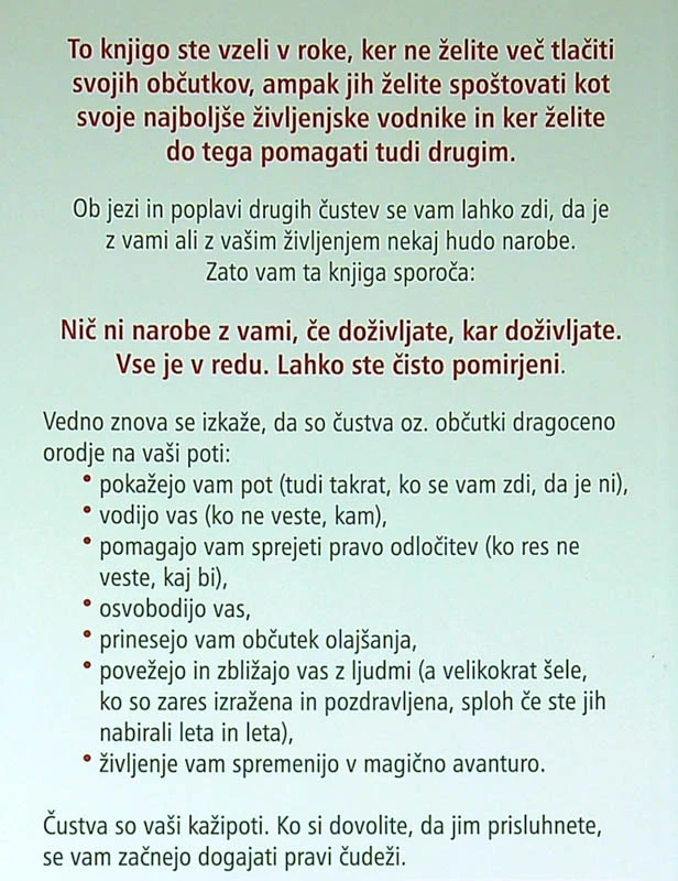 POMAGAJTE NAJSTNIKU (IN OSTALIM LJUDEM OKOLI SEBE) IZRAZITI JEZO, dr. Špelca Morojna