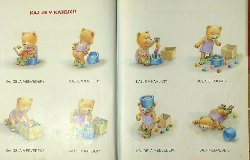 MEDVEDEK, KAJ DELAŠ?, Slavica Remškar