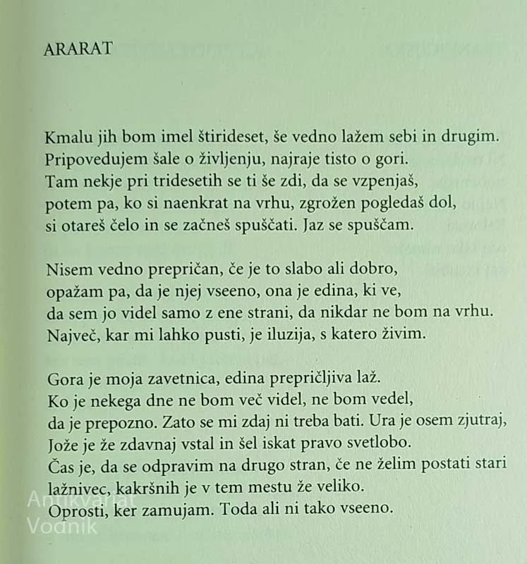 DIVAN, Esad Babačić