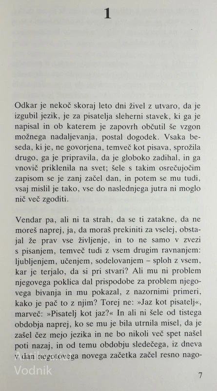 PISATELJEV POPOLDAN, Peter Handke