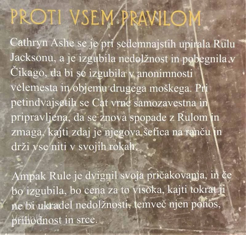 PROTI VSEM PRAVILOM, Linda Howard