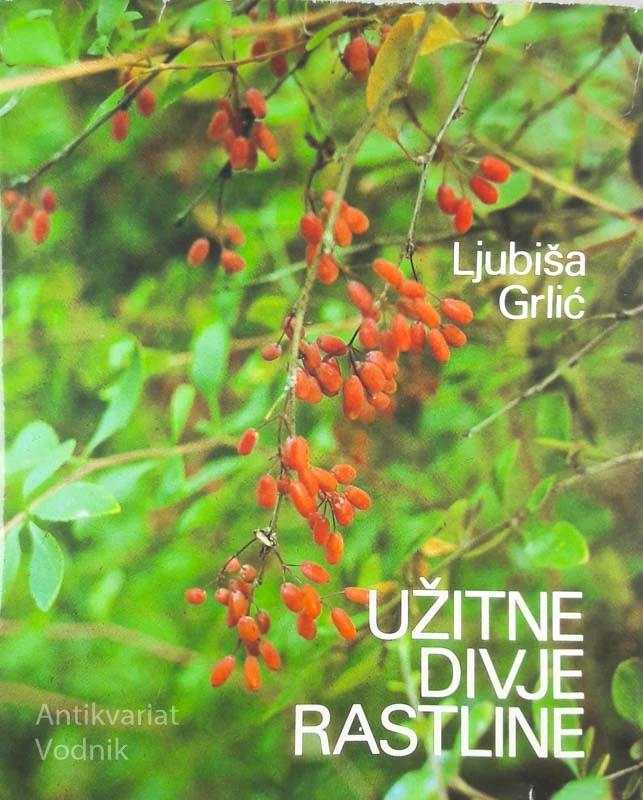 UŽITNE DIVJE RASTLINE, Ljubša Grlić