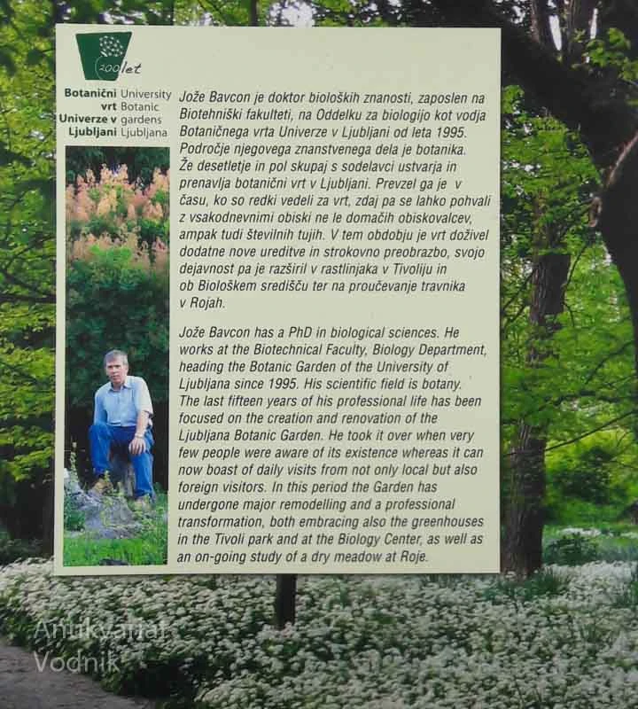 BOTANIČNI VRT UNIVERZE V LJUBLJANI / UNIVERISTY BOTANIC GARDENS LJUBLJANA, Jože Bavčon