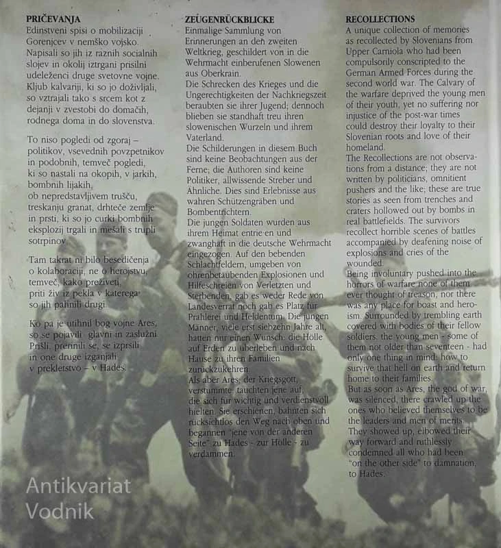 V TUJIH ŠKORNJIH, več avtorjev