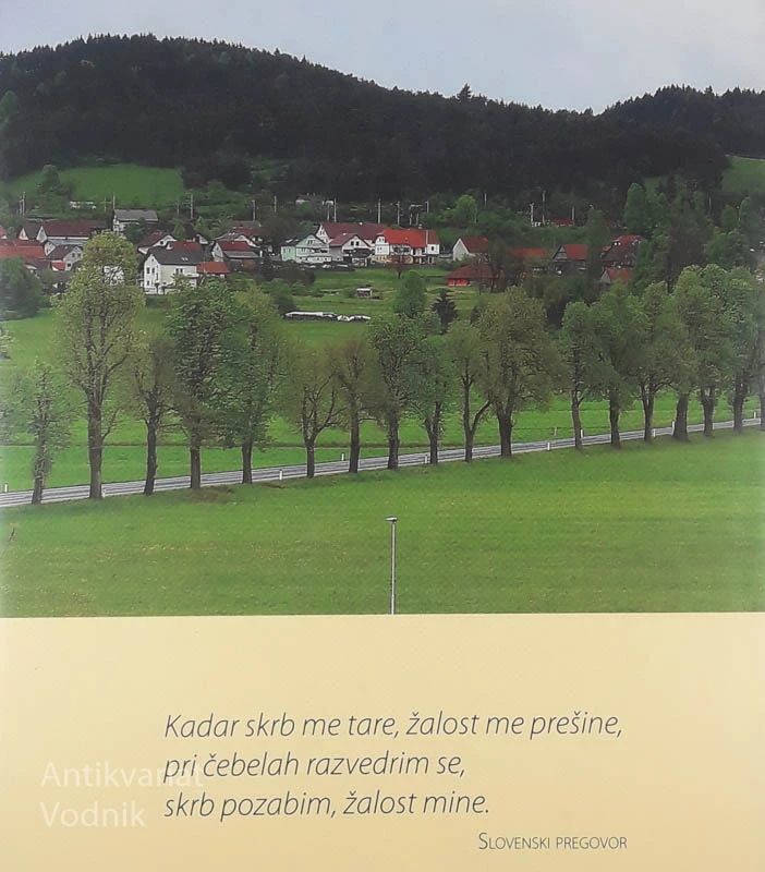 KRONIKA ČEBELARSTVA NA RAKEKU, Miroslav Juvančič