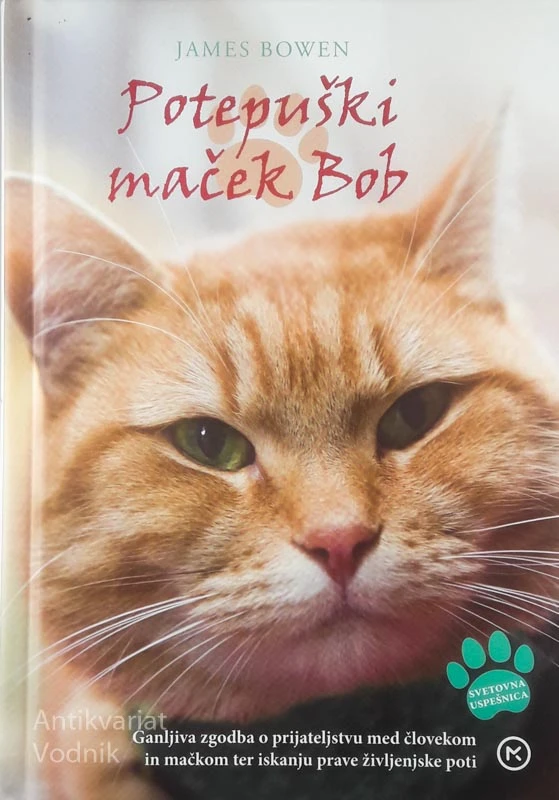 POTEPUŠKI MAČEK BOB, James Bowen