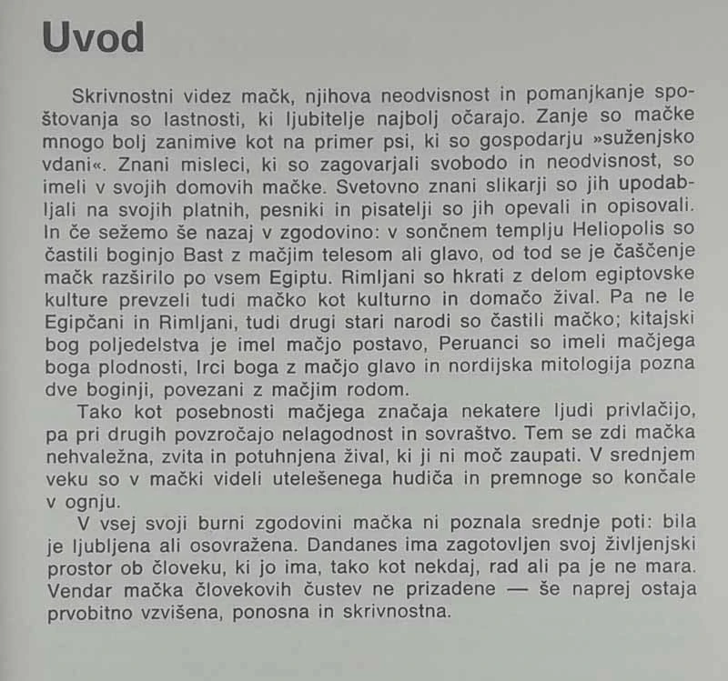 NAŠE MAČKE, Slavec Leskovic