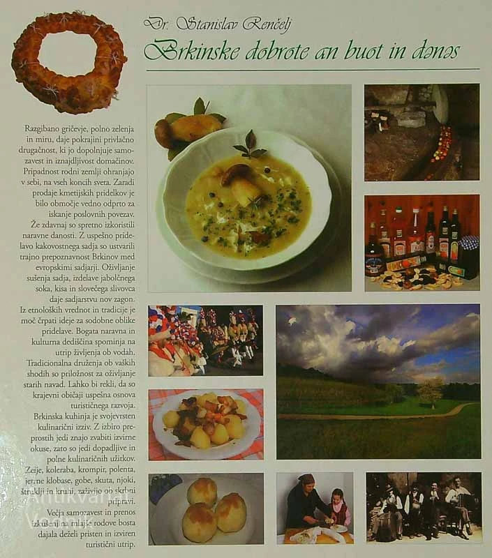 BRKINSKE DOBROTE AN BOUT IN DENES, Stanislav Renčelj