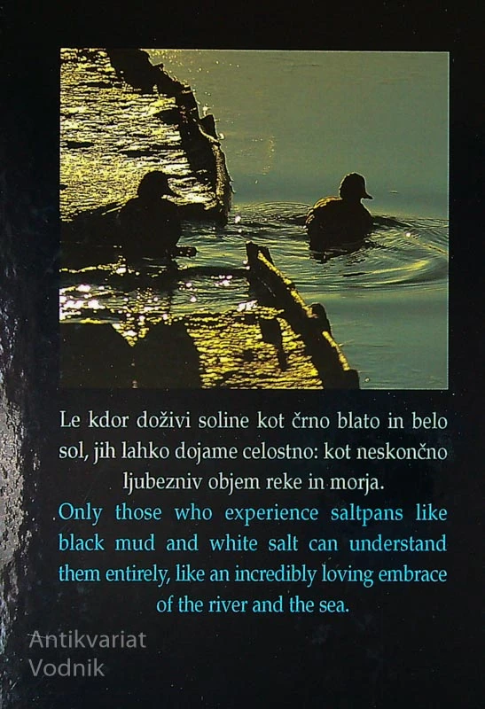 SEČOVELJSKE SOLINE/SEČOVLJE SALTPANS, Iztok Geister