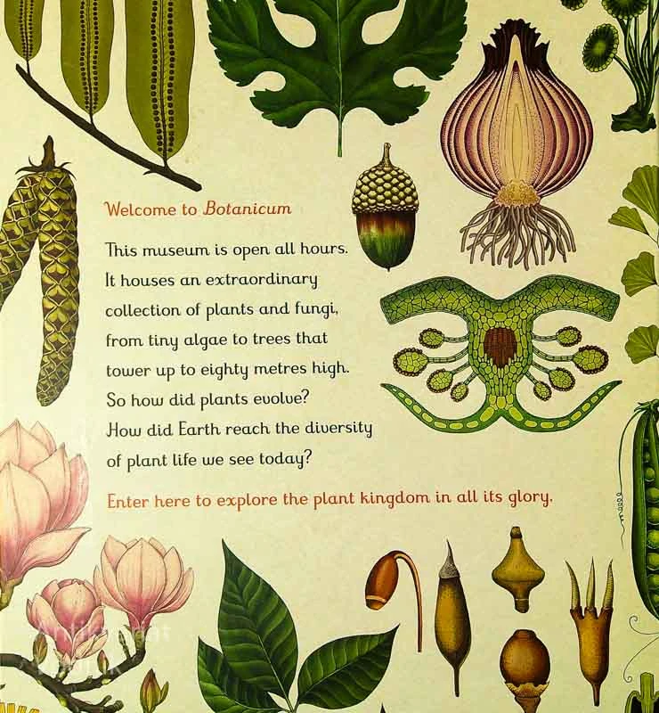 BOTANICUM, Kathy Willis