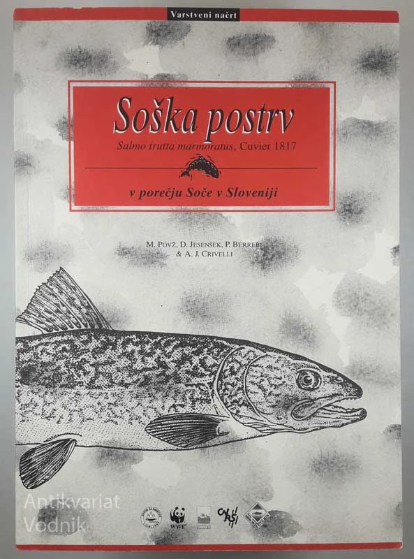 SOŠKA POSTRV, M. Povž