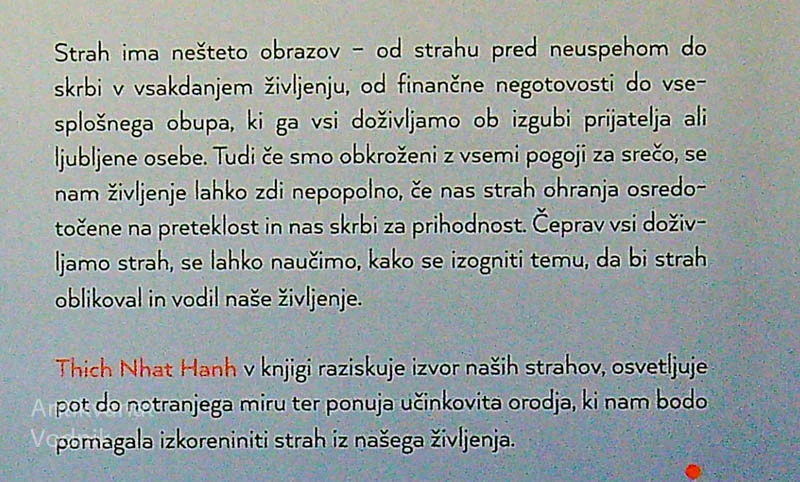 STRAH; MODROST, KAKO PREBRODITI VIHARJE, Thich Nhat Hanh