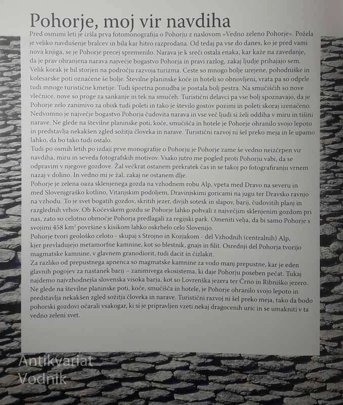 POHORJE, Jurij Pivka