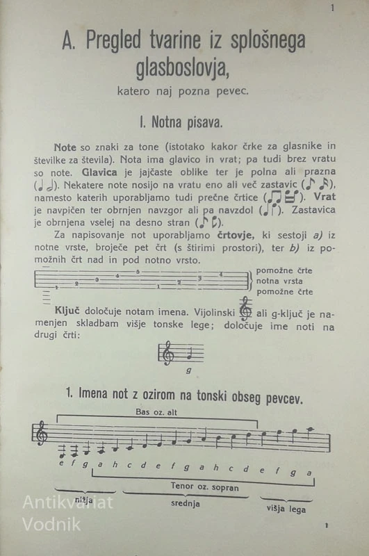 PESMARICA IV.; ZBOROVA ŠOLA ZA MEŠČANSKE IN SREDNJE ŠOLE, H. Druzovič